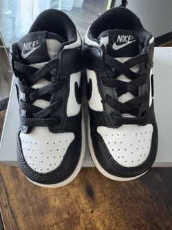 Toddler Nike Dunk Low