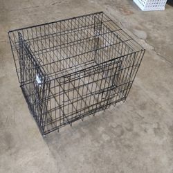 Dog Cage