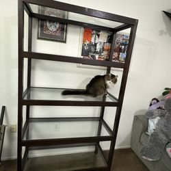 Glass Shelves 