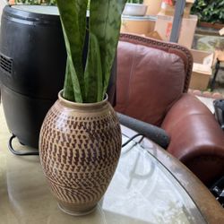 Flower vase with the plant