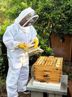 Bee hive and equipment