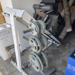 Leg press/ Hack squat