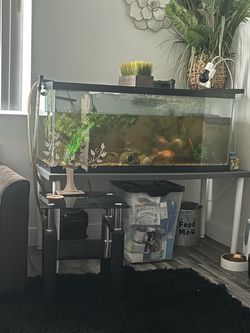 75g with table