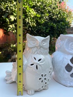 Two owls , gnome coffee cups