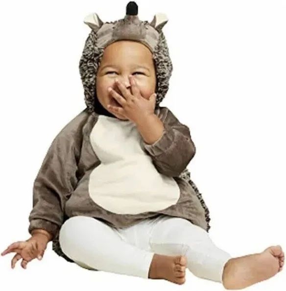 Hedgehog Infant Halloween Costume