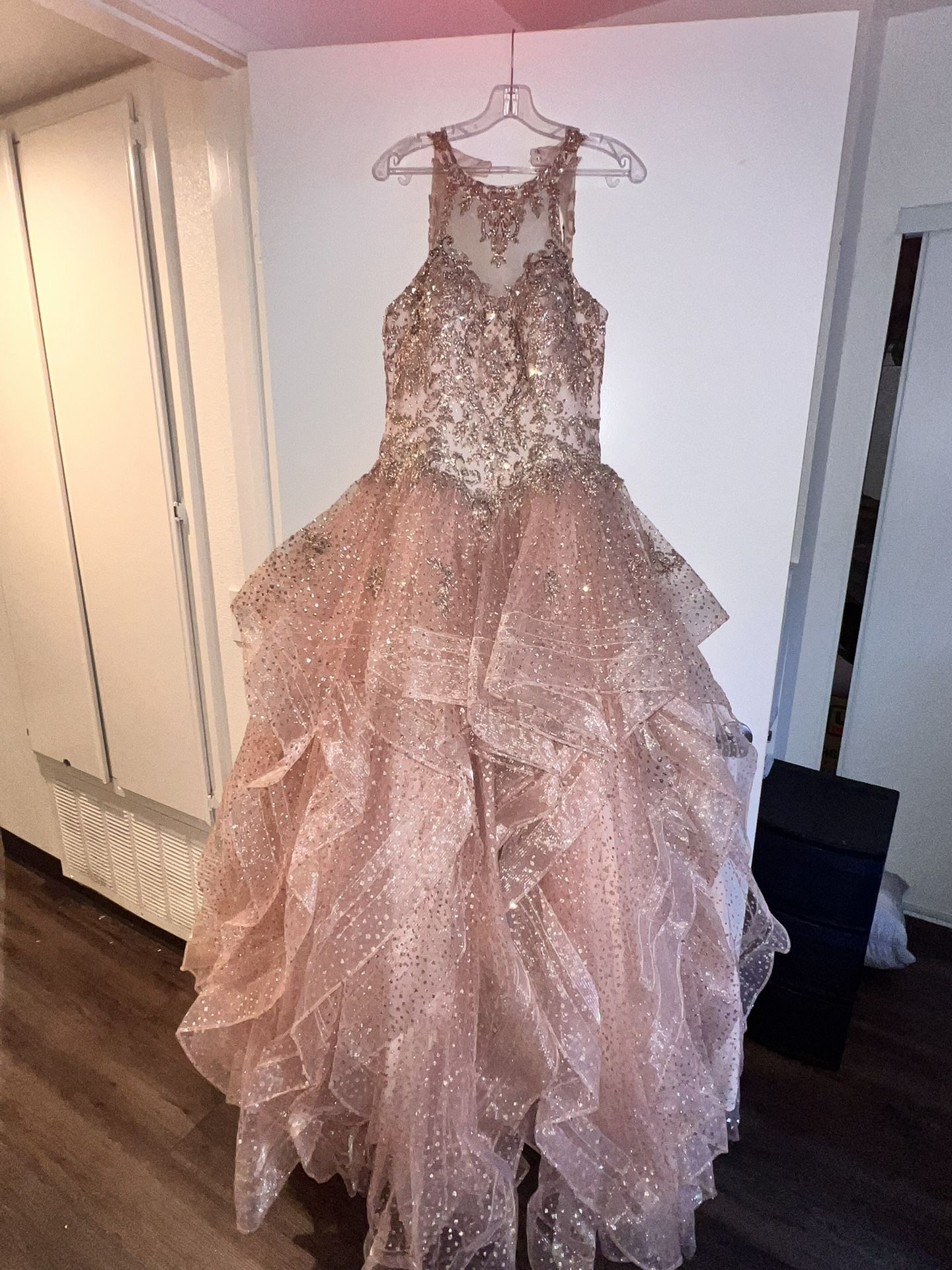 15 Dress/ QuinceaƱera dress