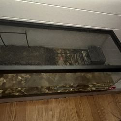 Turtle Tank And Turtles Food Also Turtle Extra Bag Of Rocks 