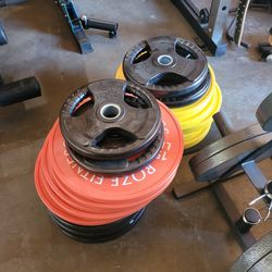 New  Weight Training Plates Multiple Styles and Colors. 