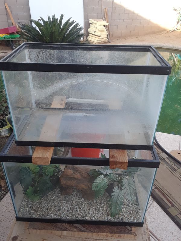 10 Gallon Reptile Tank