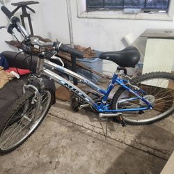 Mongoose 24 In 21 Speed 