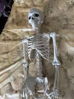 5 Foot Skeleton Decor