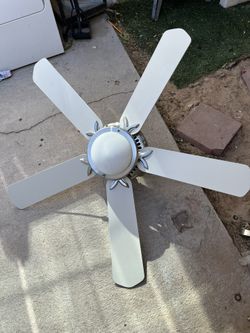 48in Light Fan