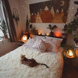 Cosy Up to These Pure Natural Himalayan Salt Lamps!!