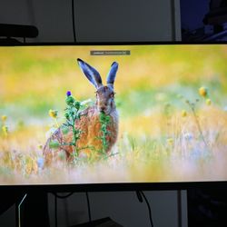 2k 27in Lg Monitors 165hz