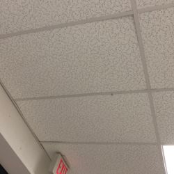 Ceiling Tiles (two cases)