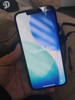 iPhone 13