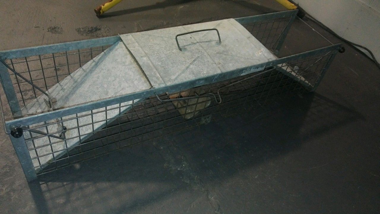 Live Animal Trap