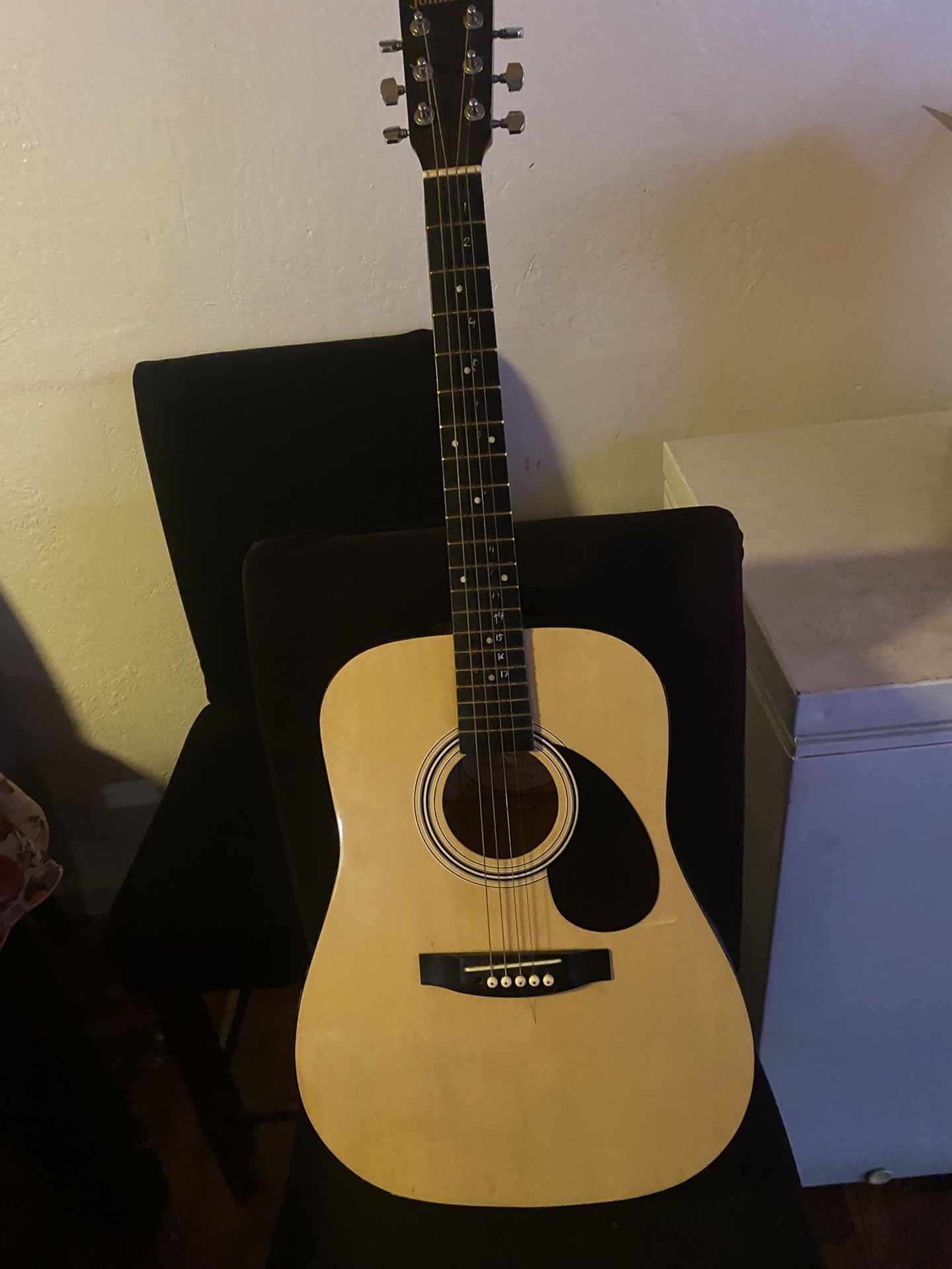 Johnson Guitar