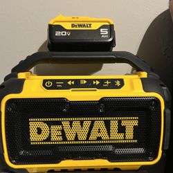 Dewalt Speaker