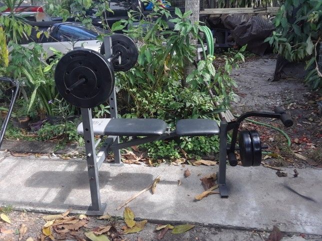 Weight Bench With Bench Press Bar