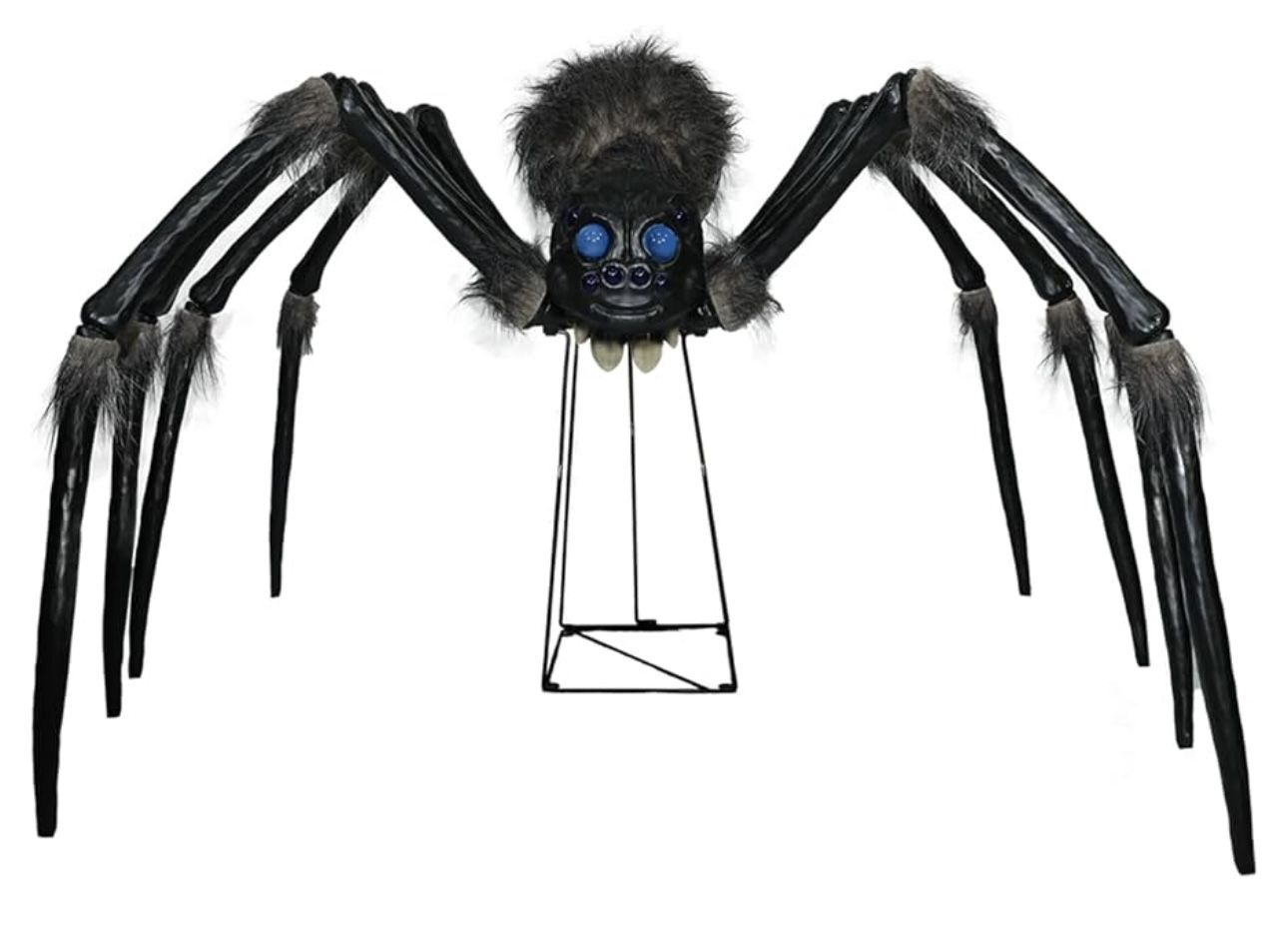 Brand New Giant Spider