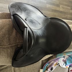 Wintec 12” Beginner Saddle