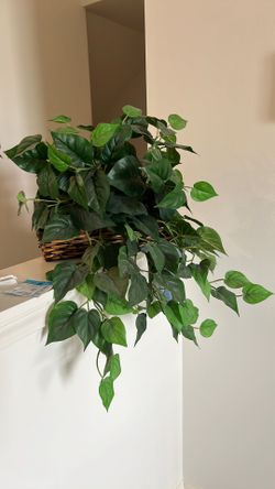 Artificial plant home decor