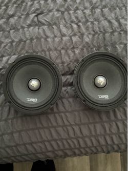 DS18 Pro FR6NEO 6.5