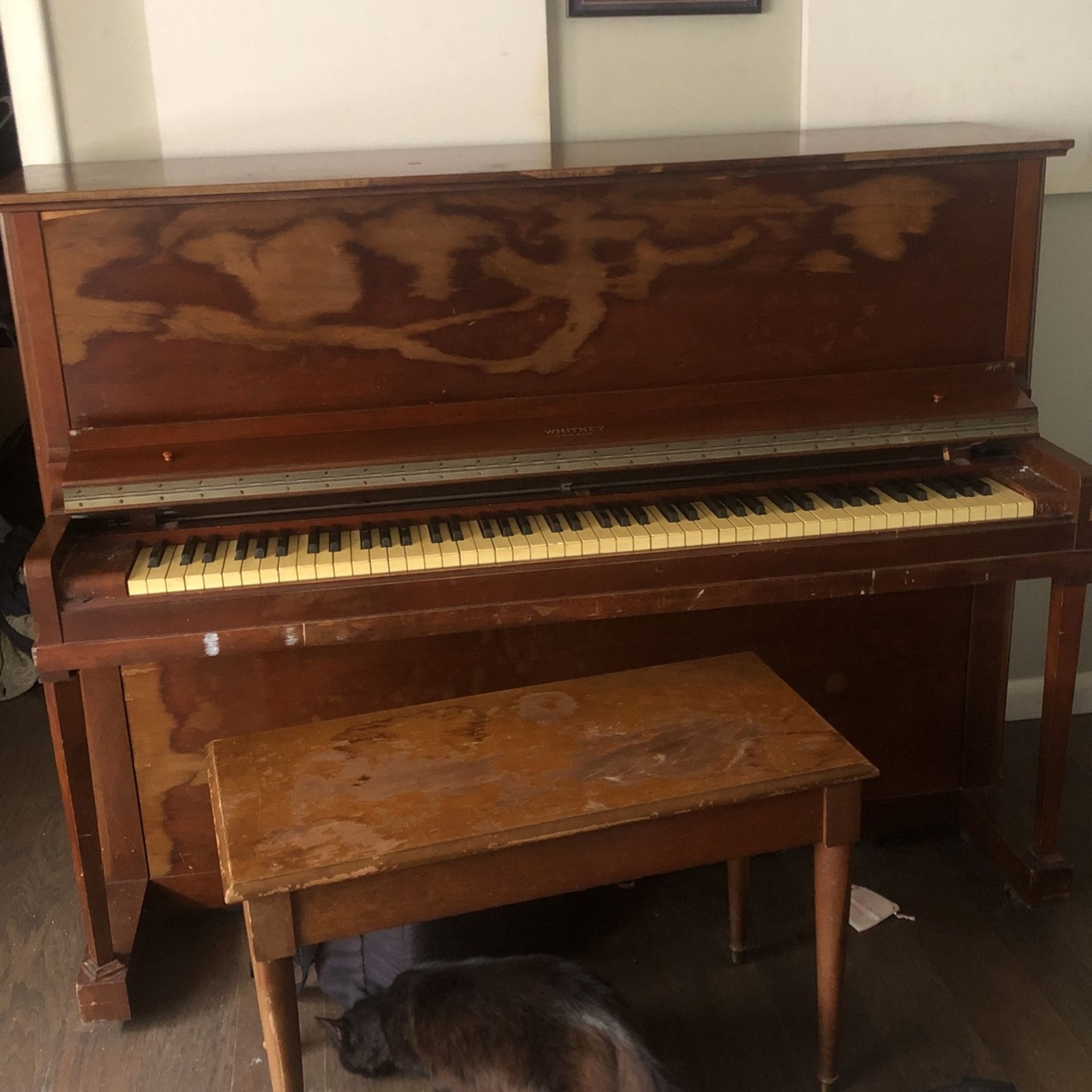 Free Piano