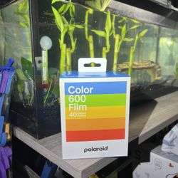 Polaroid X-40 600 film pack