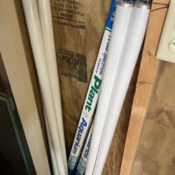 T12 Flourescent Bulbs