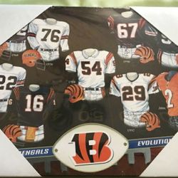 NFL: Cincinnati Bengals Jerseys Through The Years Plaque 