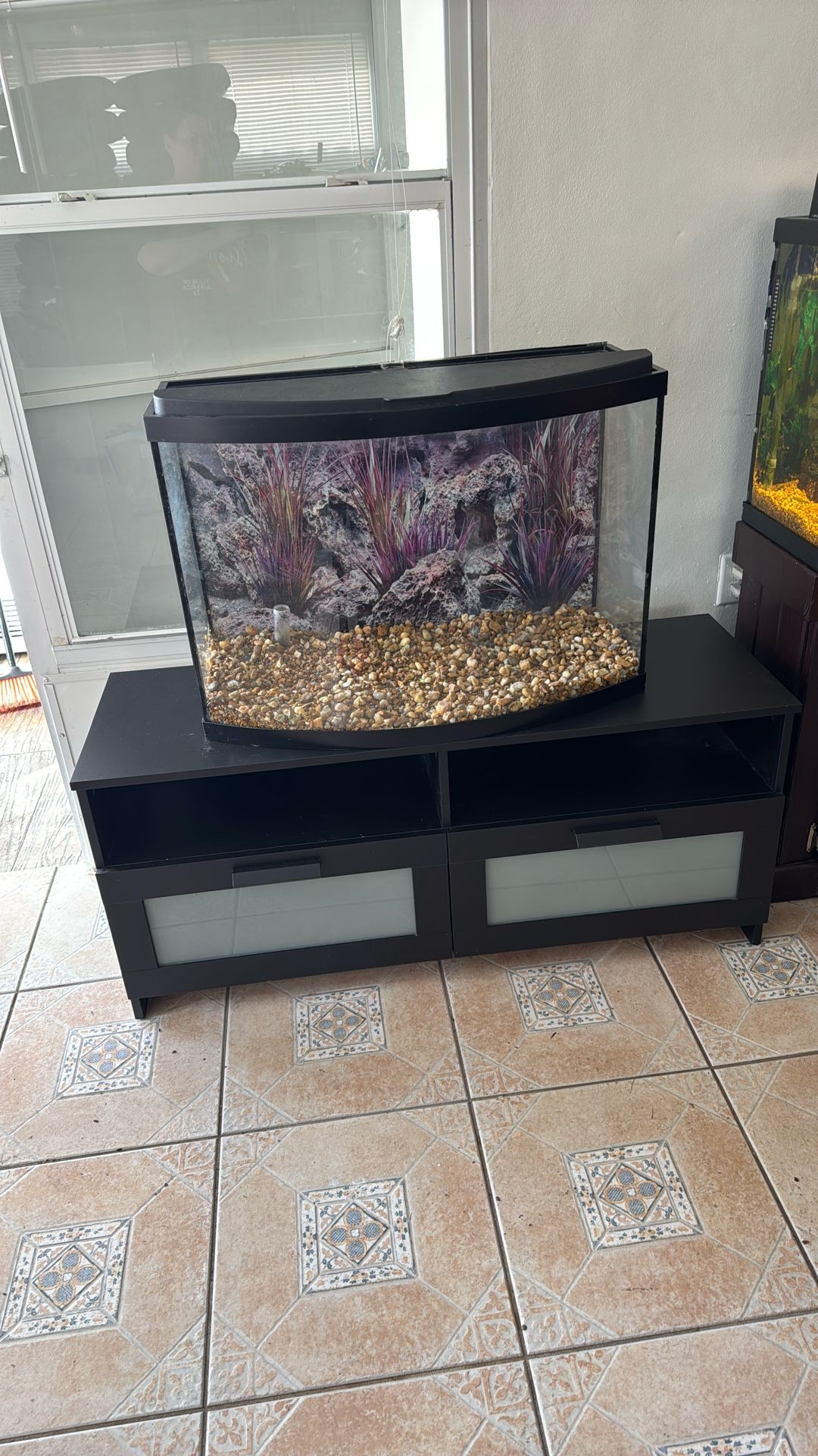 Curved Front fish Tank And Stand.