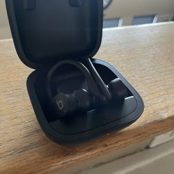 Beats Powerbeats Pro Wireless Earbuds 