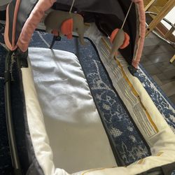 Baby Girl Bassinet