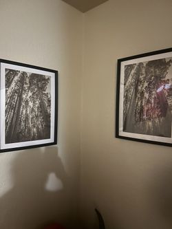 Two Tree picture