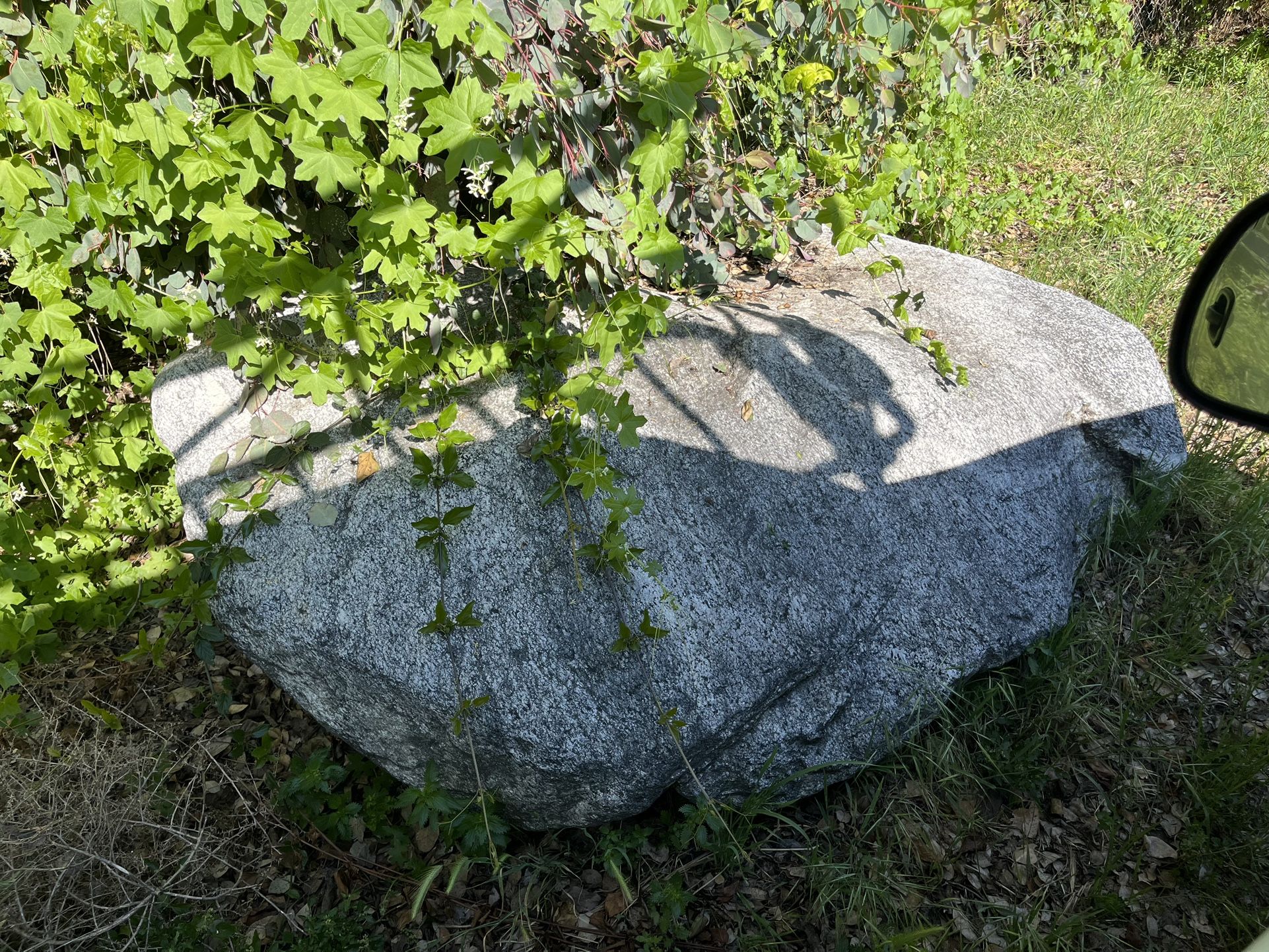 Free Rocks Landscaping Beautiful 