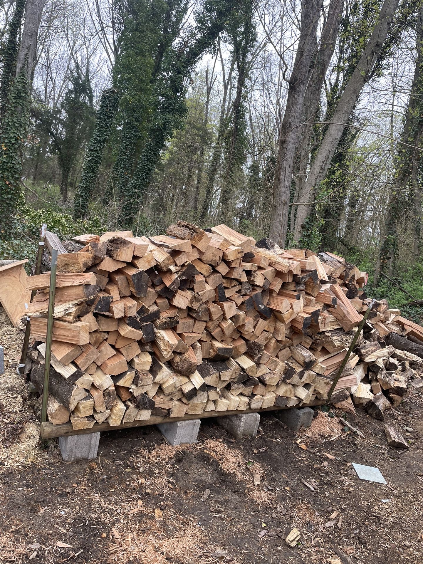 Firewood