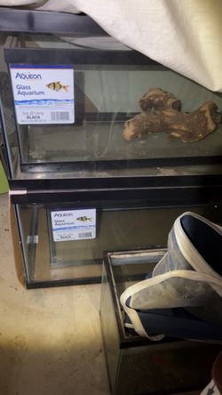 40 gallon breeders