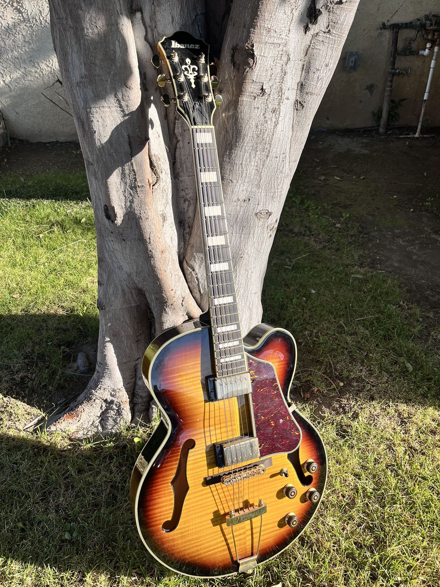 Ibanez Electric Guitar