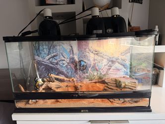 Zoo Med 25-Gallon Reptile Terrarium + Lights & Accessories