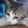 Leonor
