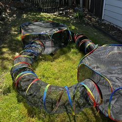 Cat Tunnels And Play Cube Area. 