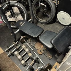 Bench Press Bench With Bar And Free Weights 