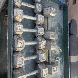 Dumbells Weights  