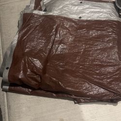 Tarp 