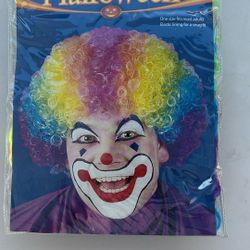 Rainbow Wig $5