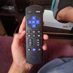 Roku Remote Already Has Double AAs Batteries In The Roku Remote Meet Me At The Morning Side Library Sioux City Iowa 