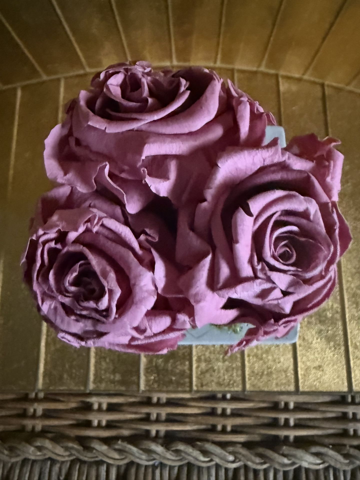 J.Carruthers Preserved Mob Roses, Half Moon Bay, California