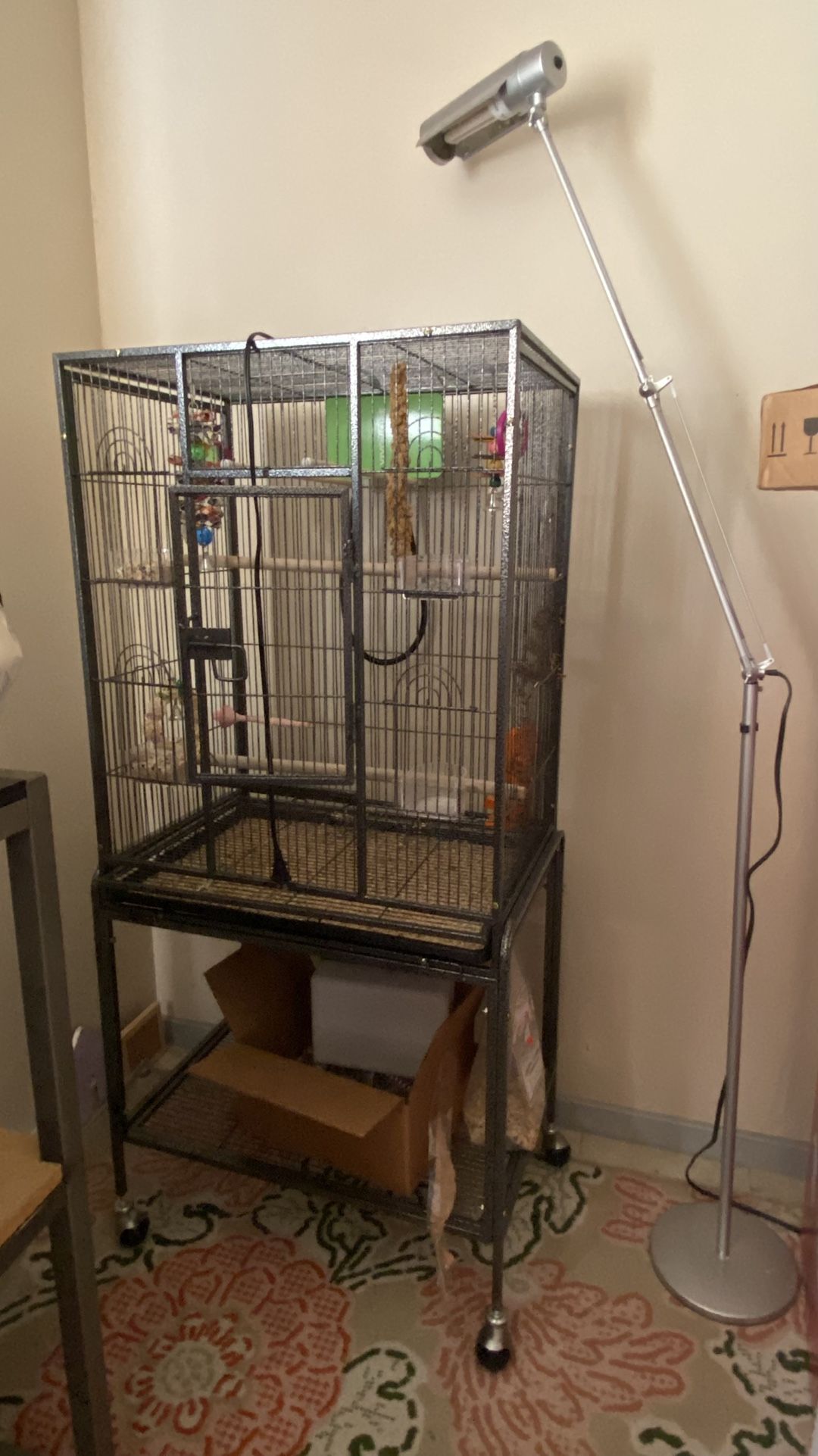 Bird Cage
